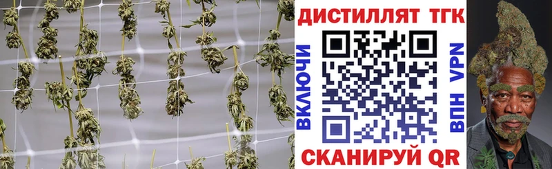 где купить наркотик  Фролово  Дистиллят ТГК THC oil 