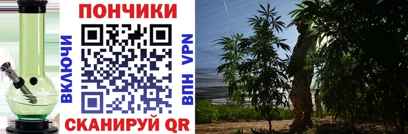 как найти закладки  гидра   Шишки марихуана ГИДРОПОН  Фролово 